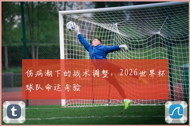 伤病潮下的战术调整，2026世界杯球队命运考验