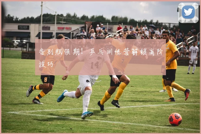 告别瓶颈期!乒乓训练营解锁高阶技巧