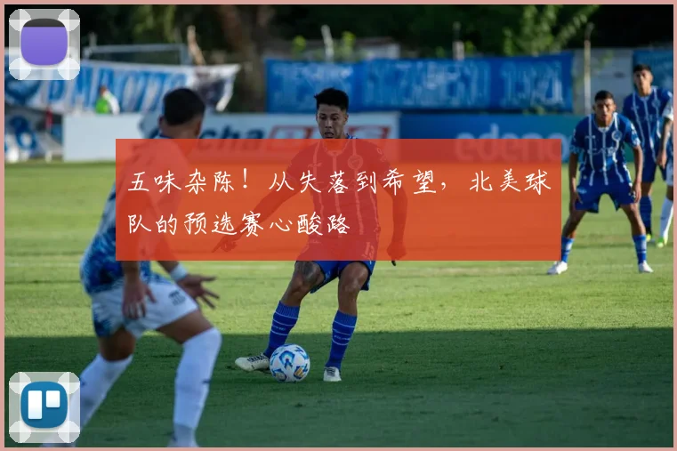 五味杂陈！从失落到希望，北美球队的预选赛心酸路